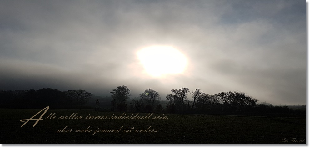 Rückevolution der Menschlichkeit