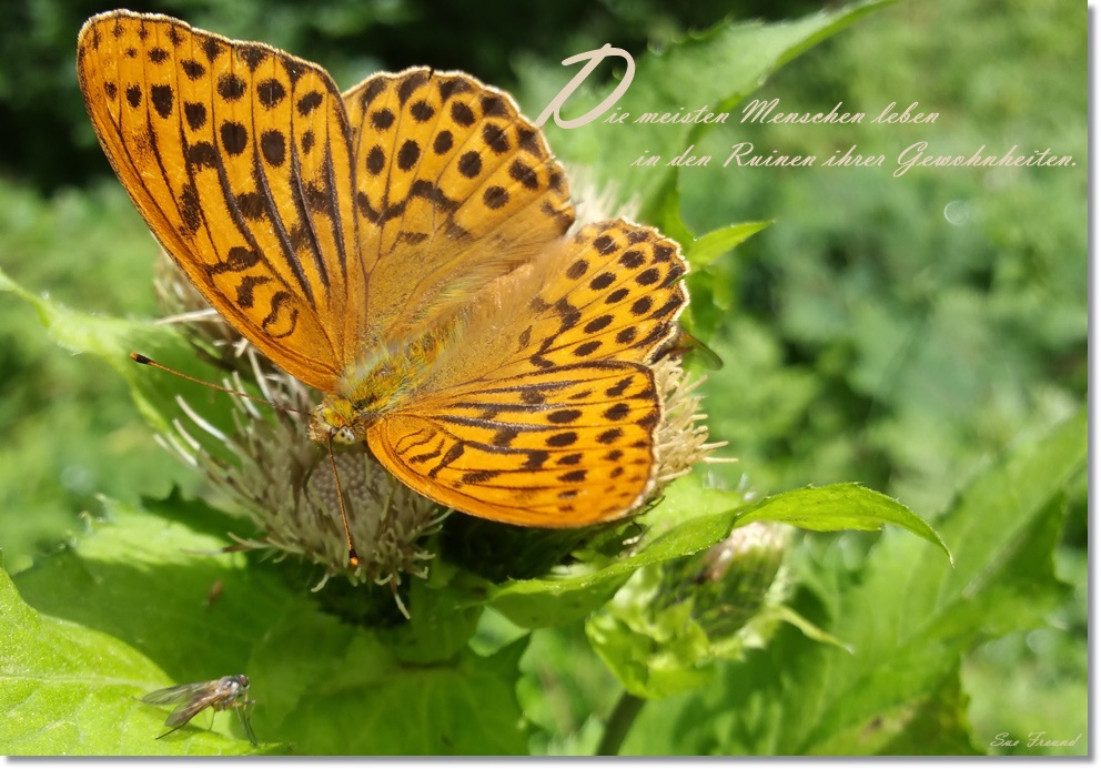 Lebenserfolg ohne Abi und&nbsp;Lobby