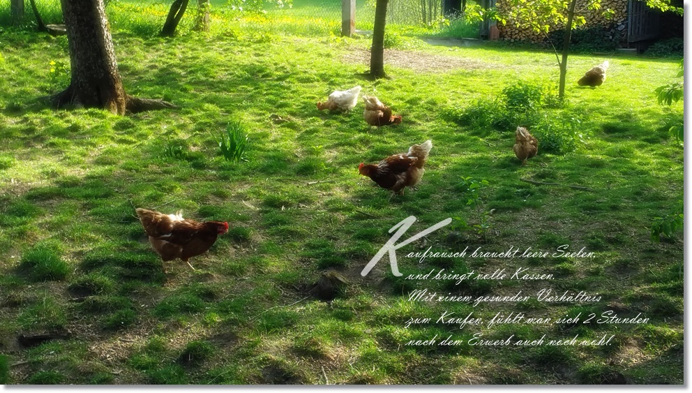 Shopping/Schnäppchen