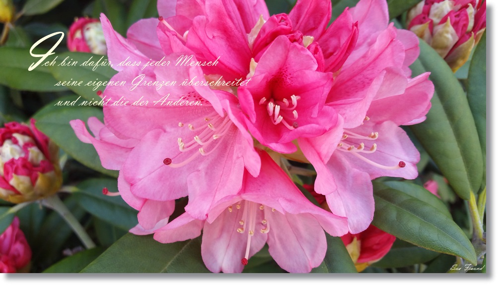 Einfach – Freigeist –&nbsp;Sein