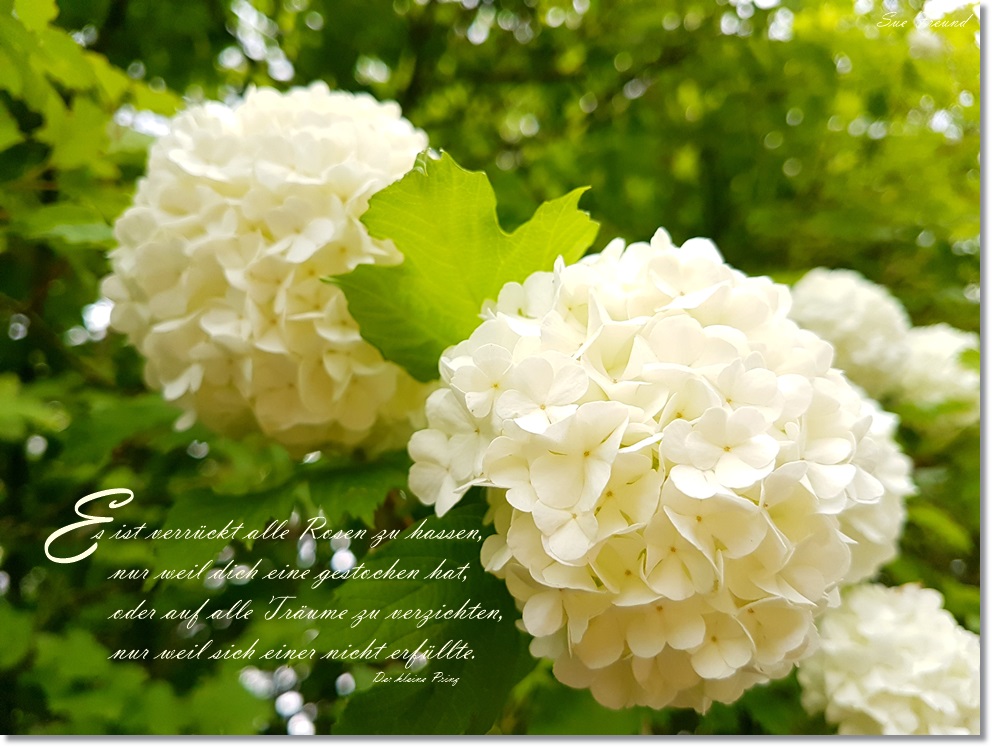 Mut zum positiven&nbsp;Denken