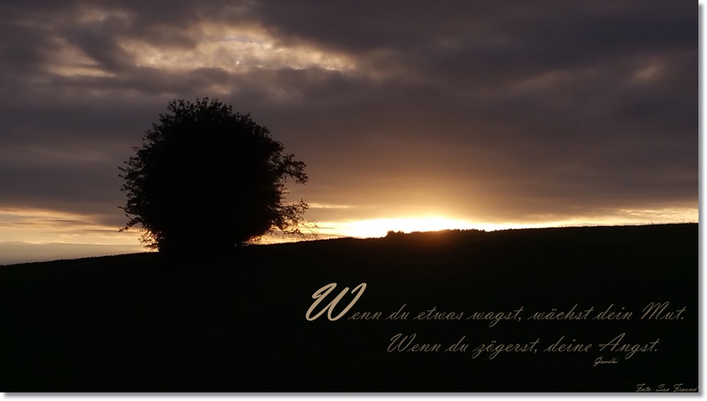 Time to Reinvent yourself                (kleiner Persönlichkeittest inklusive)