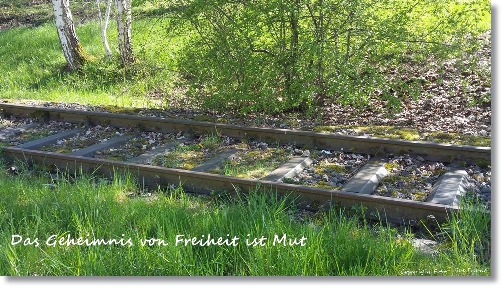 Psyche/Leben und die Angst&nbsp;davor