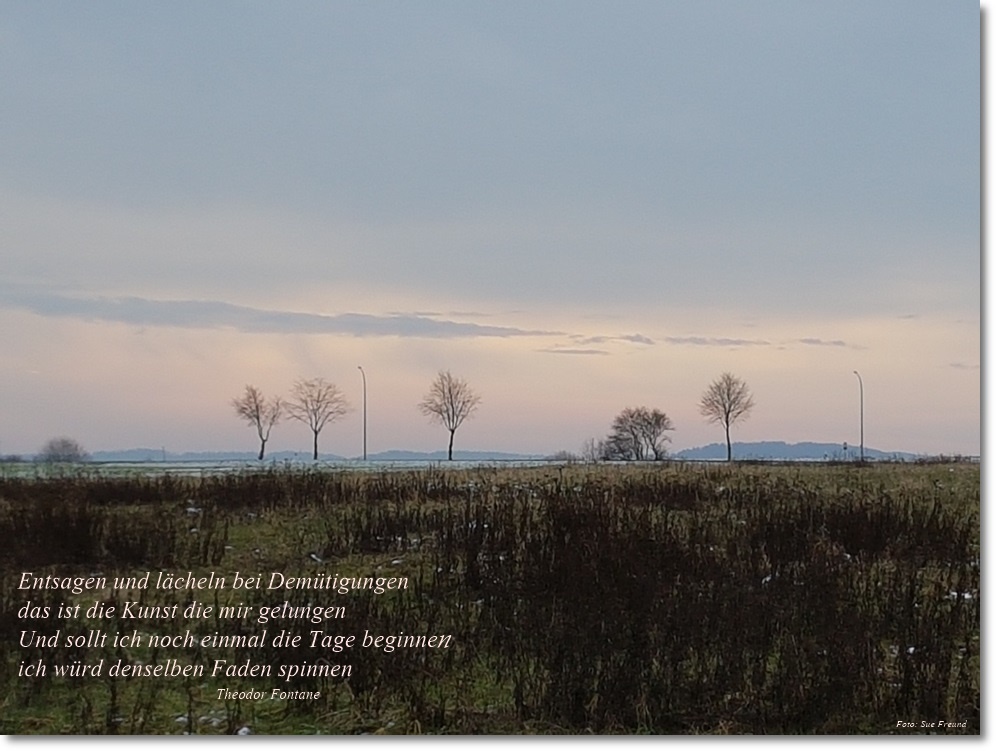 Nahrungsmittelhölle –   mein alltäglicher&nbsp;Kampf